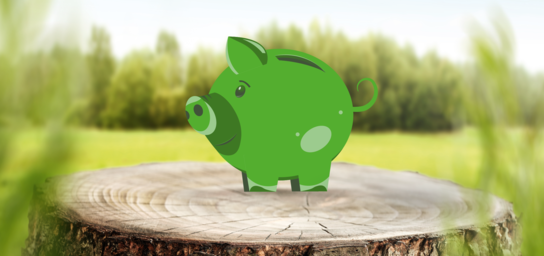 Depozite în lei cu dobânzi de până la 17% anual